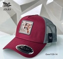 GORRAS ADLER