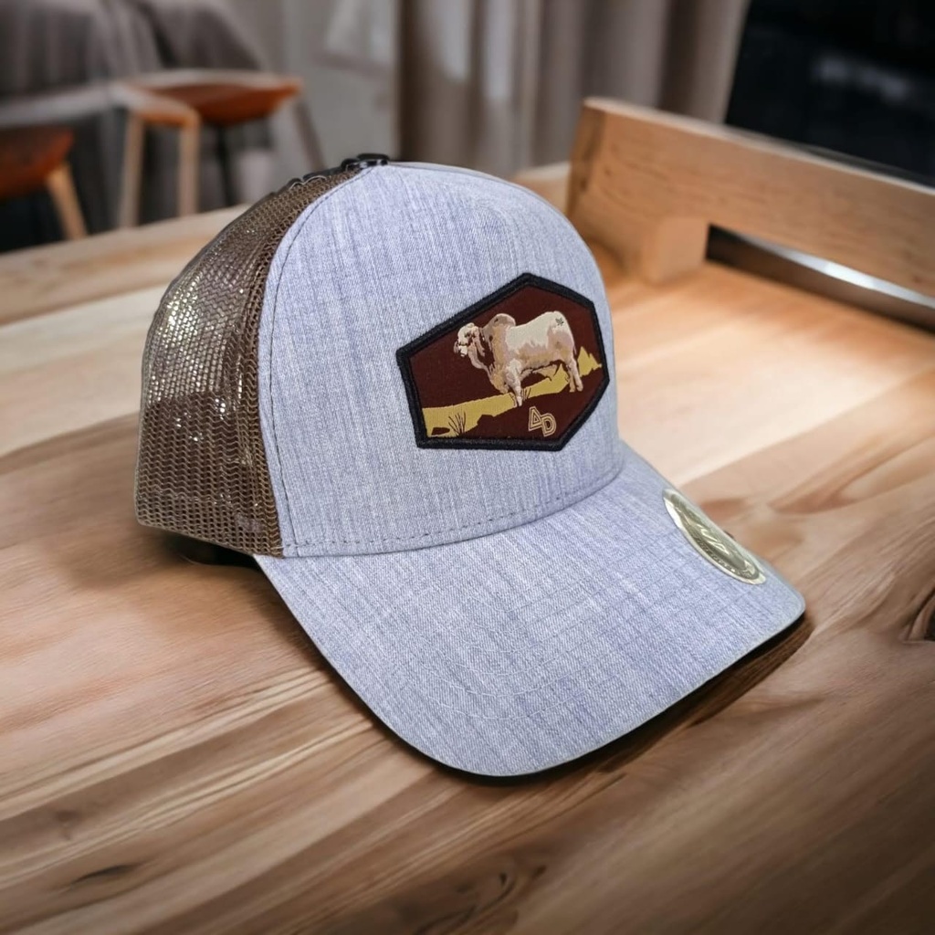 GORRAS ADLER