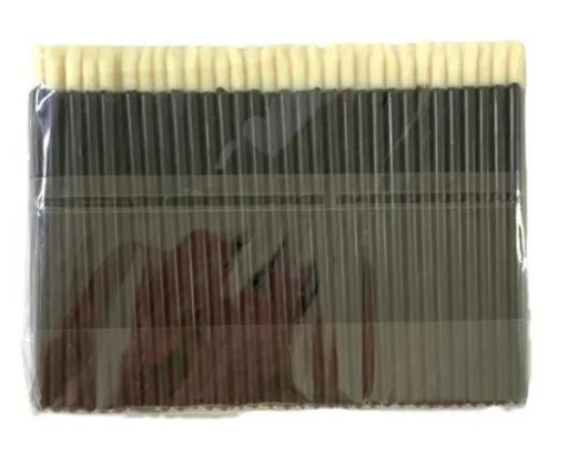 APLICADOR PARA LABIOS X 100